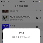 [스키즈] 인가 투표와 스밍에 대한 생각