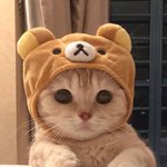 현<b>우진</b>이랑 톡해봄