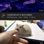 [댓글부탁해] 수시 <b>납치</b> 안당하는 법
