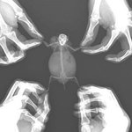 얘들아 유튜브 추천 영상에 뻑<b>가영</b>상 있으면
