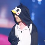 도경수 <b>펭귄</b> 미친 거야