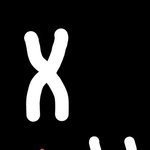 [댓글부탁해] 중3 감수<b>분열</b> 염색분체 질문죰...