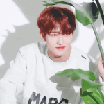 [펜타곤] 아니 근데 여창구