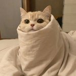 [댓글부탁해] <b>남친</b> <b>생일</b>선물 이거 어때