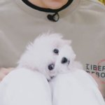 [NCT드림] <b>틈새</b> 대갈이