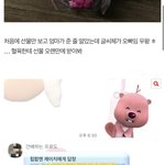 [댓글부탁해] 톡선 <b>루피</b>글 너무 바이럴 티나는거 아니냐