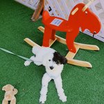 [BTOB] ㅅㄷ)오늘 길가다가 <b>프니엘</b> 닮은