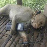 <b>원투</b>그르르다시칵칵뱅뱅