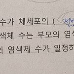 암수 생식<b>세포</b>가 뭐야 ㅠㅠㅠ?