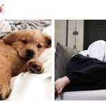 [방탄소년단] <b>거실</b>이 조용해서 나가봤더니