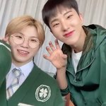 [세븐틴] <b>호랑</b>해 우아해!!