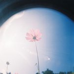 아이폰 11개월썻는데 배터리 <b>성능</b>