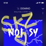 [스키즈] 쿼뽁멍 생카 갔다온 스테이 후기 알려죵