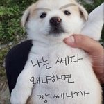 [드루와] 나 수만휘에서 사람들이랑 <b>쪽지</b>로 내신 공유중인데