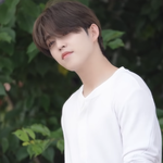 [세븐틴] 구오즈
