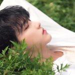 [세븐틴] 약간 슈아