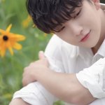 [세븐틴] ㅅ..ㅅㅂ........<b>극락</b>!!!!!!