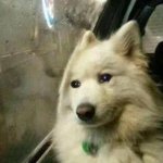 [댓글부탁해] 화잘<b>알</b>만 들어오<b>셈</b>