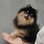[방탄소년단] 주윤탄님