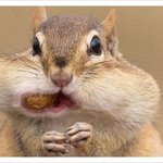 [펜타곤] 대롬지마을 <b>대장</b>님 돌아온다던데 사실이야??