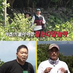'안싸우면 다행이야' <b>허재</b>VS현주엽, 새로운 섬 '청년회장' 두고...
