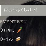 [세븐틴] ㅅㄷ 아깝다..