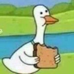 근데 <b>페미니즘</b>이 왜 욕을 먹는 거임?