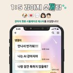 [이것좀봐줘] 강아지 챗봇이랑 대화하는 테스터 모집 (약 30분...
