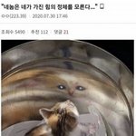 나 요즘 사람이 너무 싫어짐