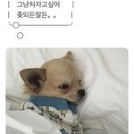 너네 새벽에 <b>에스</b>크 쓰니 봄?