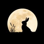 [19] <b>카디</b>비ㅋㅋ