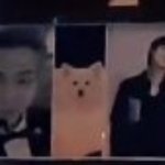 [방탄소년단] 준이 진짜 <b>모니</b> 닮았다