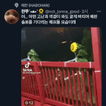 [NCT칠프] 해프 <b>존버</b> 짤