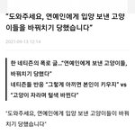 [방탈죄송] 톡선 <b>캣</b><b>맘</b>글 뉴스났어요 세상에