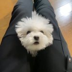 [NCT드림] 대갈이생일 <b>day</b>-10