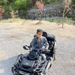 [세븐틴] 아니