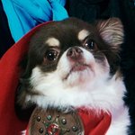 [NCT칠프] 눈썹 봐 ㅋㅋㅋㅅㅋㅋㅋ<b>용맹</b>해