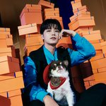 [NCT칠프] 강아지 <b>소형</b>견인거