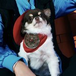 [NCT칠프] 강쥐짐짜<b>조카커</b>엽다