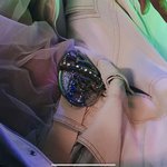 [NCT칠프] <b>crazy</b>