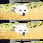 [방탄소년단] 준이가 읽는 책