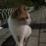 스카에서 <b>집</b>오는데 누가 따라<b>옴</b>;