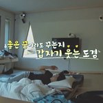 [세븐틴] 인더숲 볼때마다