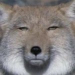 주변애들 지금 ㅈㄴ 논다...