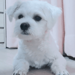 나 __안드로메다<b>상향</b> 넣었음
