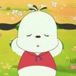 [드루와] 너희 인스타 어떻게 <b>꾸밈</b>?