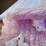 수원 팔달구 <b>숙박</b>업소 위생상태 (사진 극혐 주의)