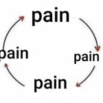 [드루와] 성신 일어<b>일문</b>이랑 국어국문중에 어디쓸까ㅠㅠ