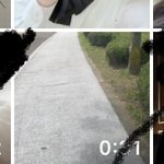 [댓글부탁해] <b>브이</b>로<b>그</b> 찍음