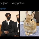 [방탄소년단] <b>공손</b> 토끼